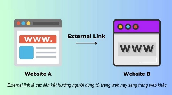 External link là gì