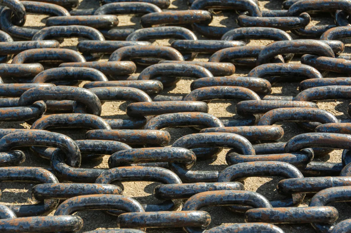 backlink và internal link